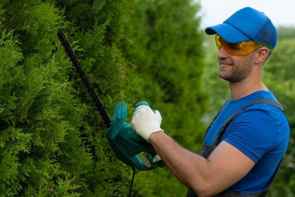 Cost of Tree Shaping Service in Gallatin